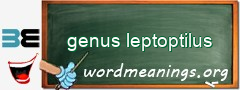 WordMeaning blackboard for genus leptoptilus